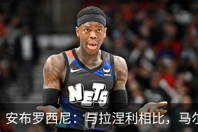 安布罗西尼：与拉涅利相比，马尔蒂尼和莱昂纳多是更好的选择